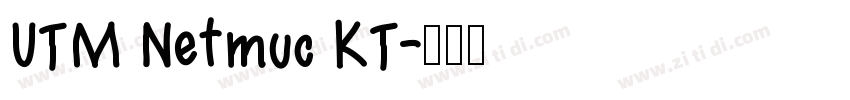 UTM Netmuc KT字体转换